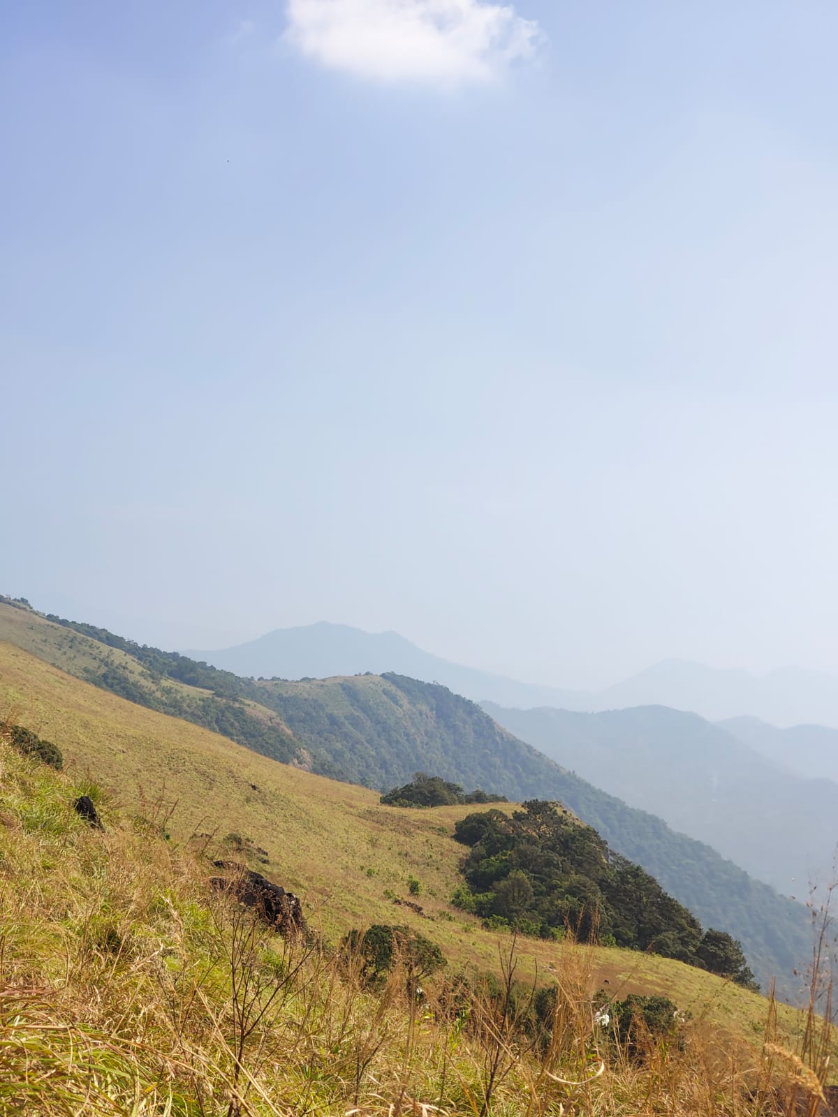 Top View From Paithalmala