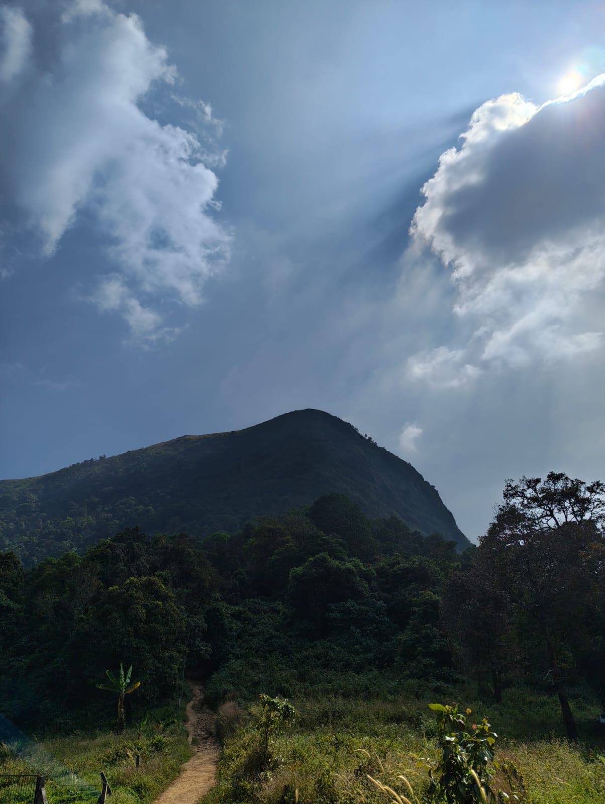 A View Of Paithalmala From The Bottom